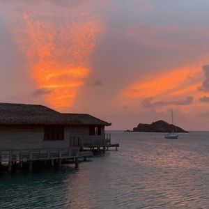 Meet your Posher, Reagan